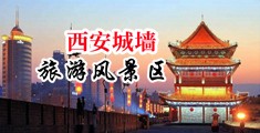 jj躁进小bsp中国陕西-西安城墙旅游风景区